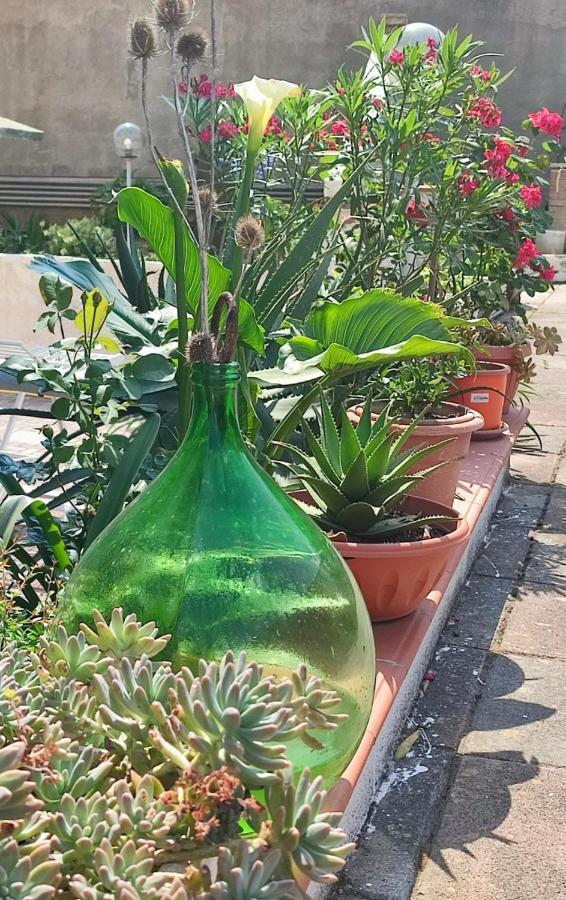 Bordoriva Apartman Formia Kültér fotó