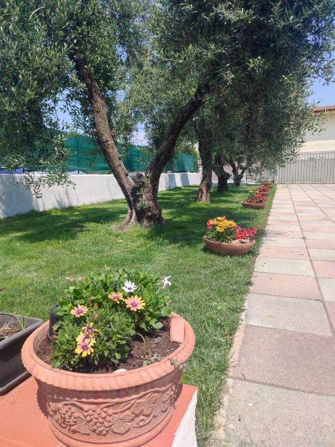 Bordoriva Apartman Formia Kültér fotó